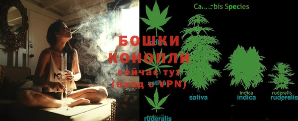 индика Бронницы