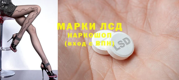 спайс Бородино
