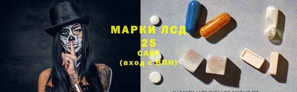 спайс Бородино