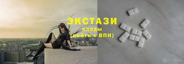 индика Бронницы