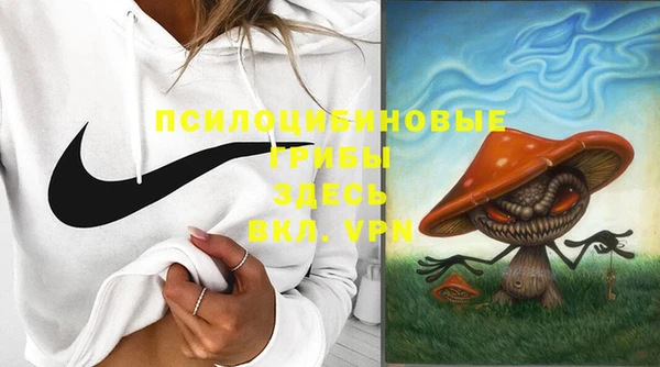 тгк Богородск