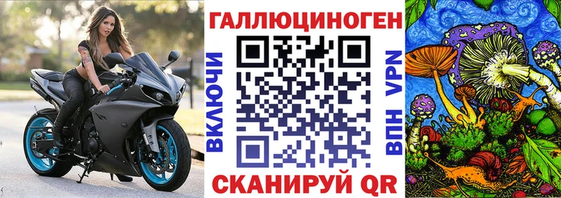 Купить закладки Кумертау Галлюциногенные грибы Cubensis